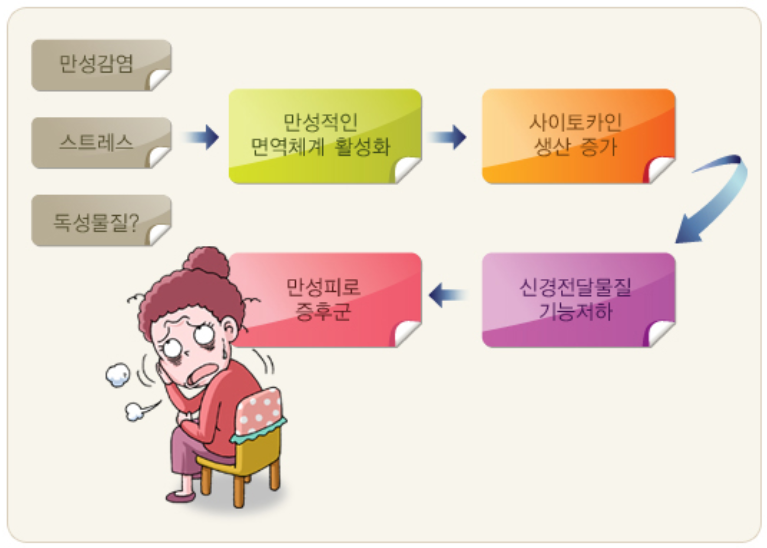 오포한의원 피로 원리